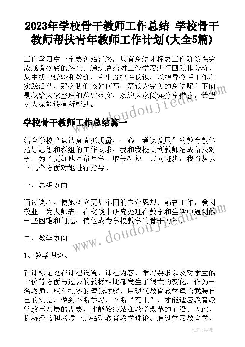 2023年学校骨干教师工作总结 学校骨干教师帮扶青年教师工作计划(大全5篇)