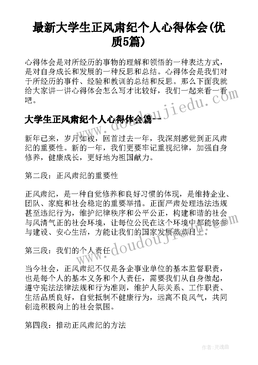 最新大学生正风肃纪个人心得体会(优质5篇)