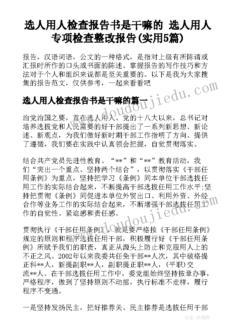 选人用人检查报告书是干嘛的 选人用人专项检查整改报告(实用5篇)