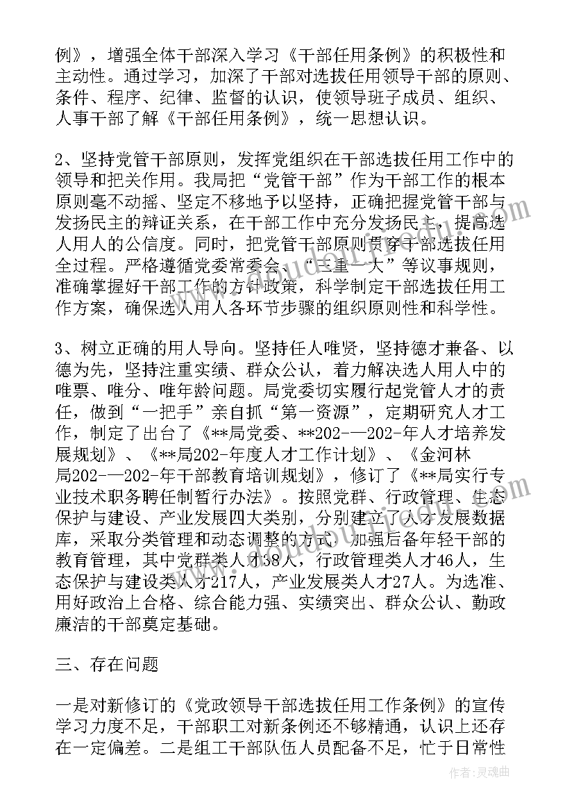 选人用人检查报告书是干嘛的 选人用人专项检查整改报告(实用5篇)