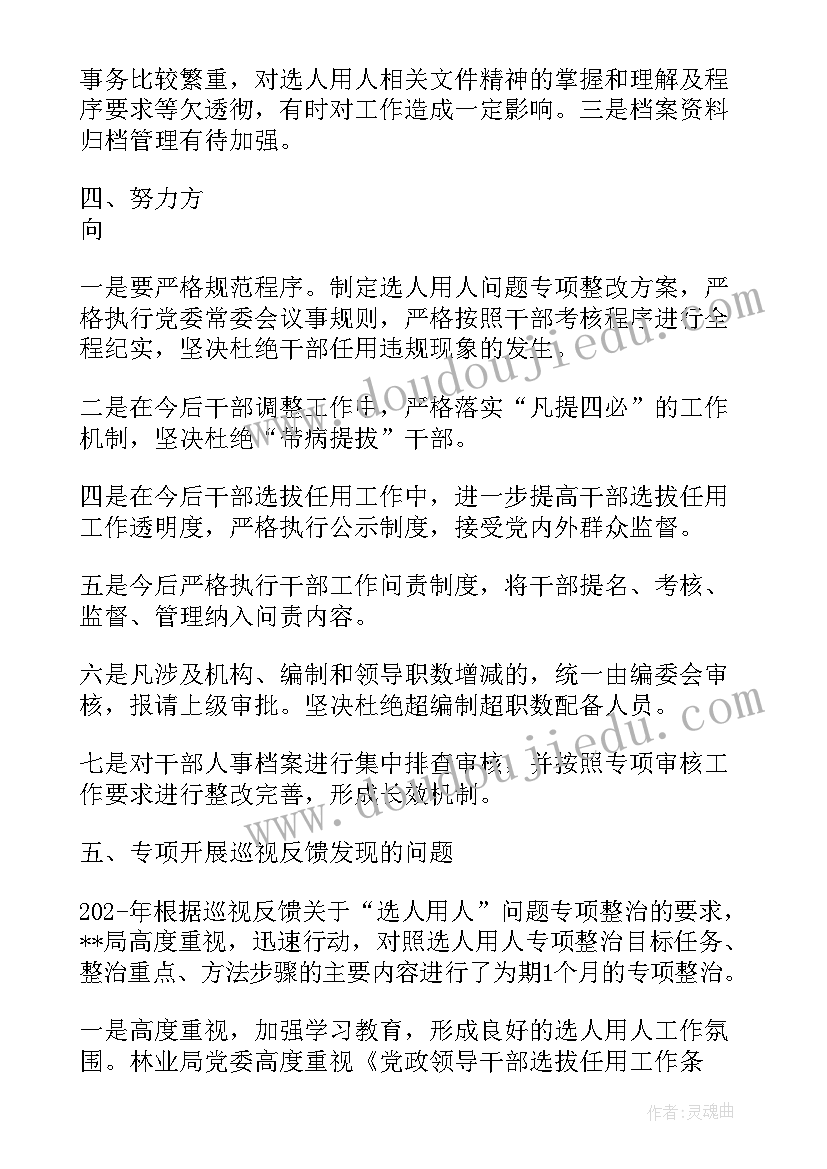 选人用人检查报告书是干嘛的 选人用人专项检查整改报告(实用5篇)