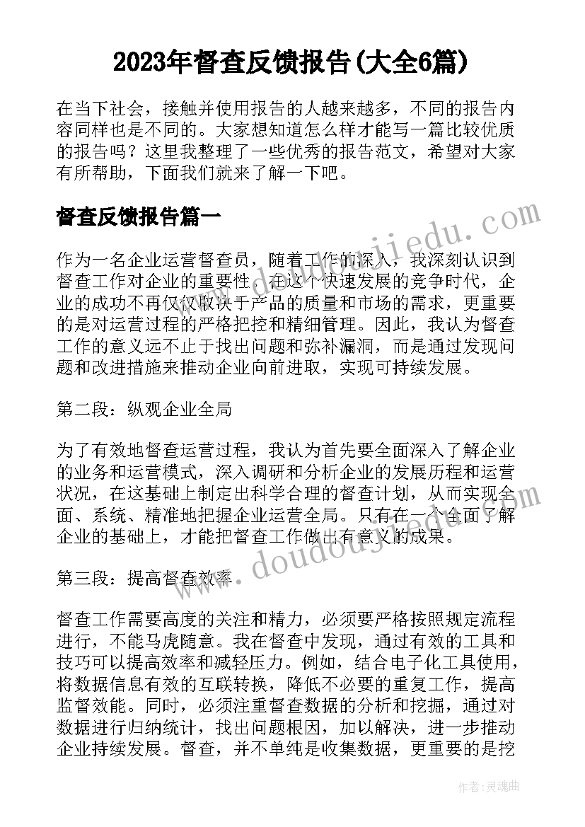 2023年督查反馈报告(大全6篇)