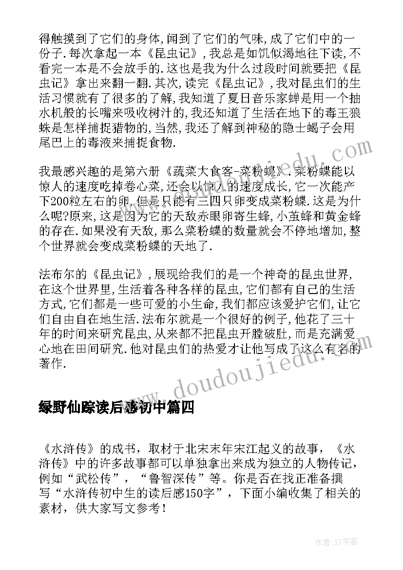 绿野仙踪读后感初中(实用9篇)