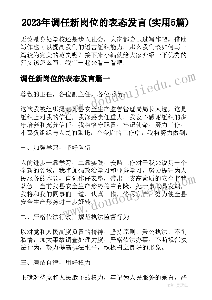 2023年调任新岗位的表态发言(实用5篇)