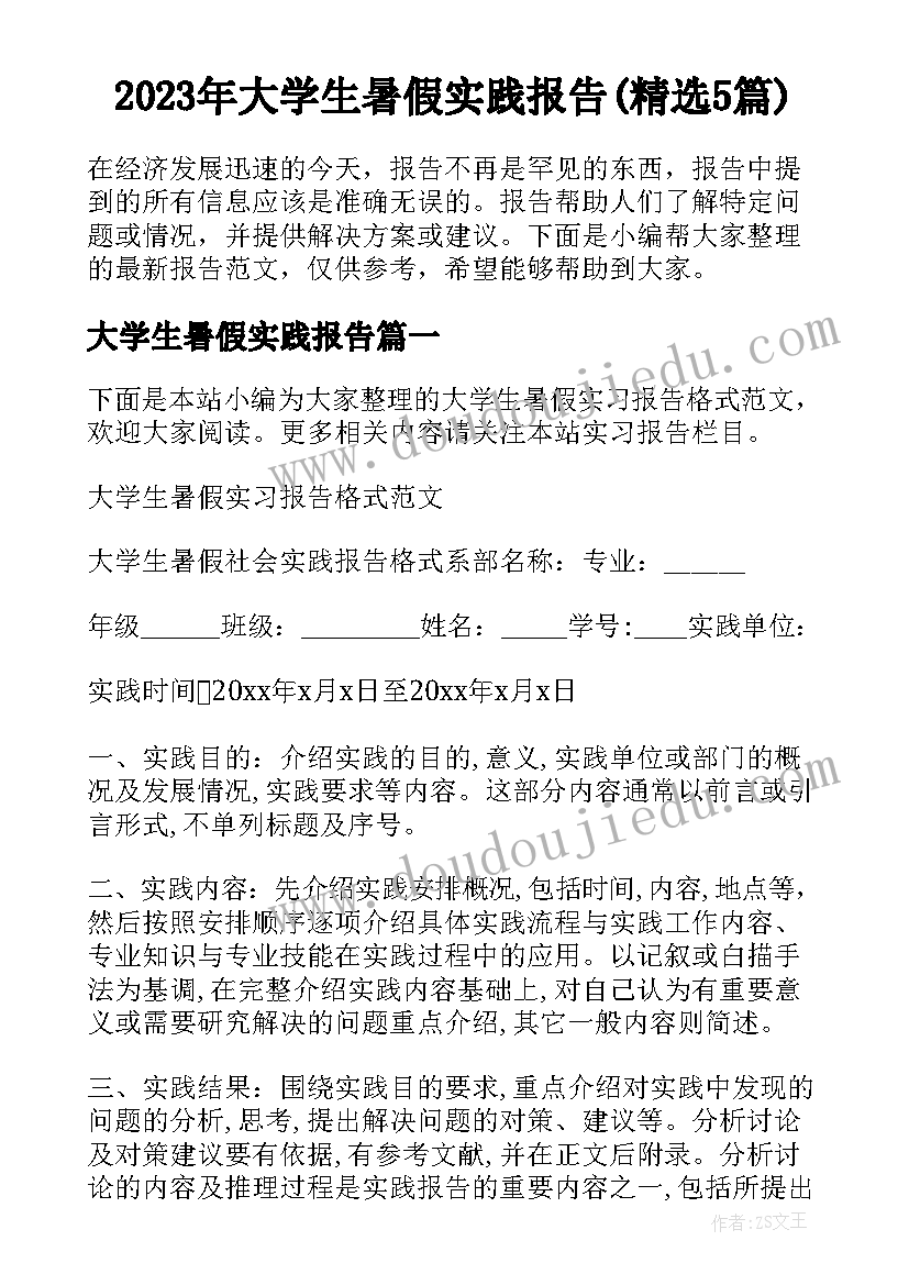 2023年大学生暑假实践报告(精选5篇)