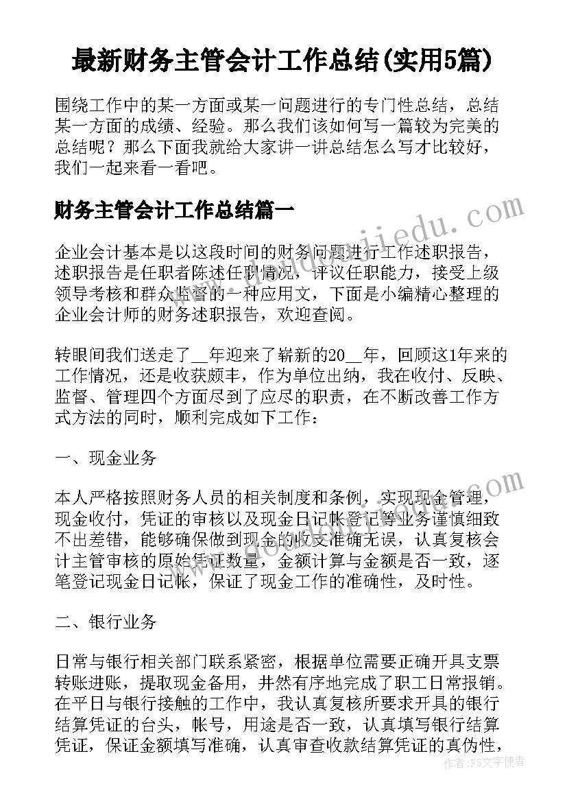 最新财务主管会计工作总结(实用5篇)