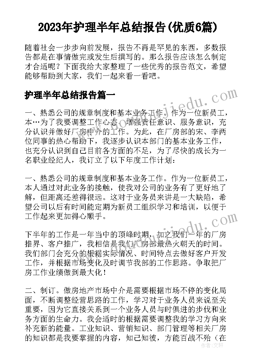 2023年护理半年总结报告(优质6篇)