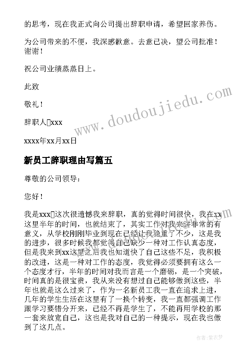 2023年新员工辞职理由写 公司新员工的辞职信(优质5篇)