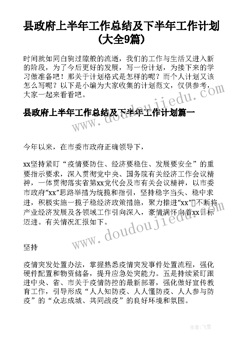 县政府上半年工作总结及下半年工作计划(大全9篇)