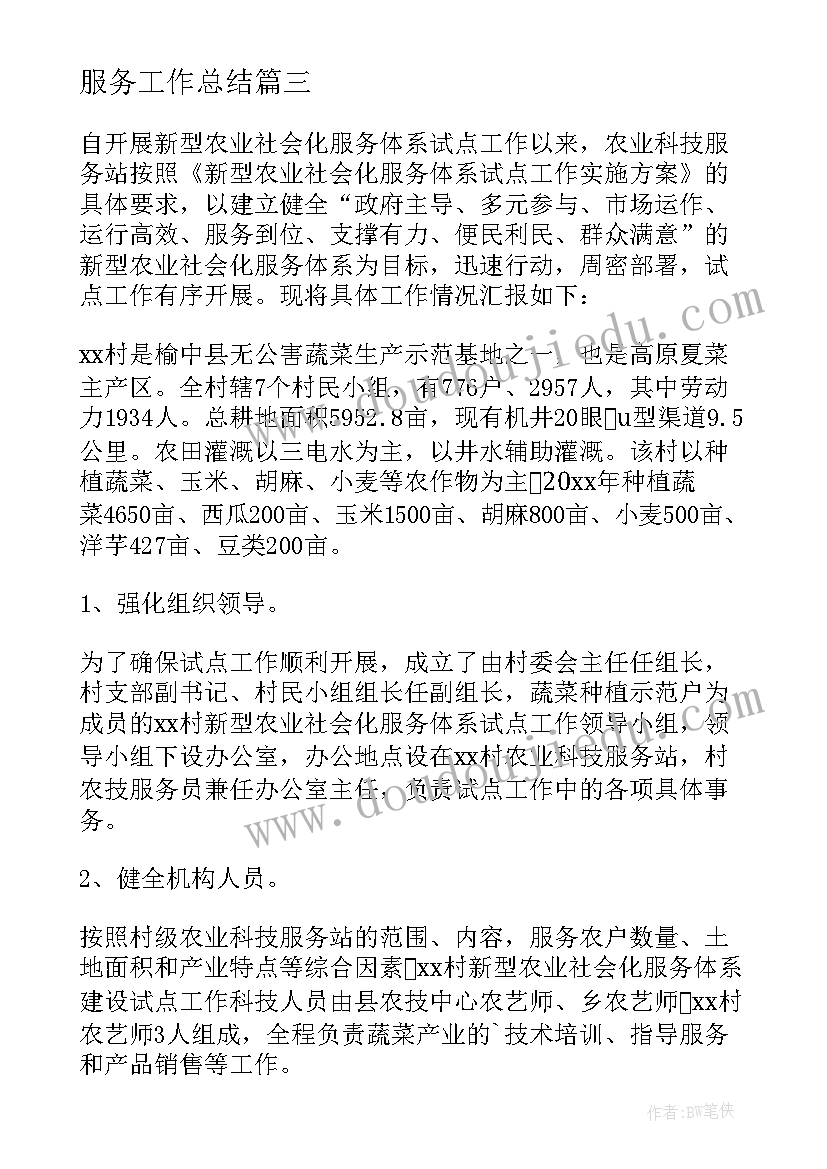 2023年服务工作总结(精选8篇)