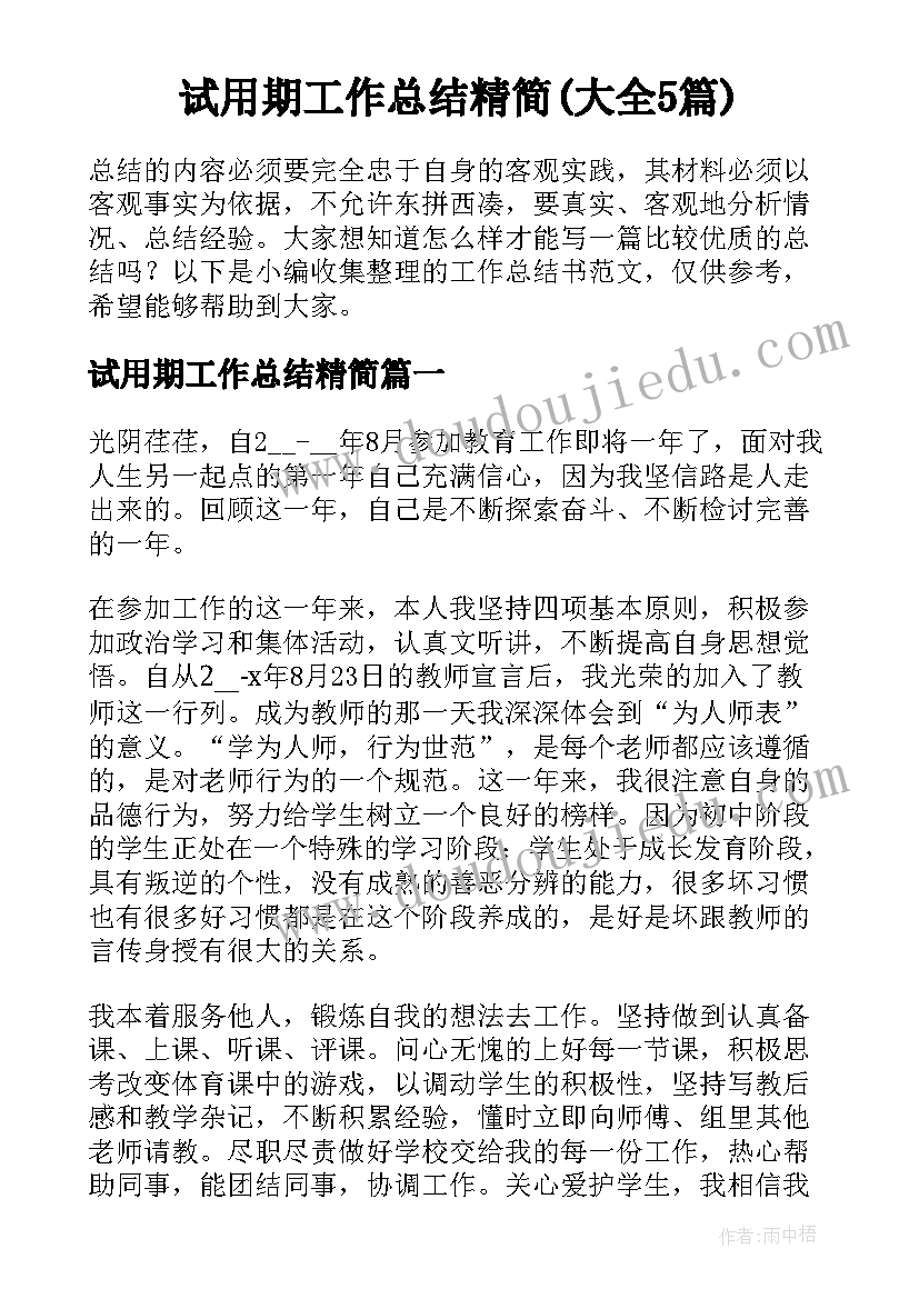 试用期工作总结精简(大全5篇)