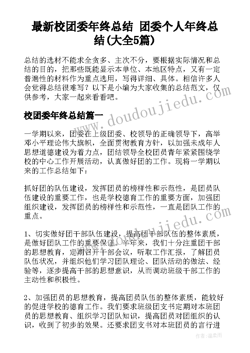 最新校团委年终总结 团委个人年终总结(大全5篇)