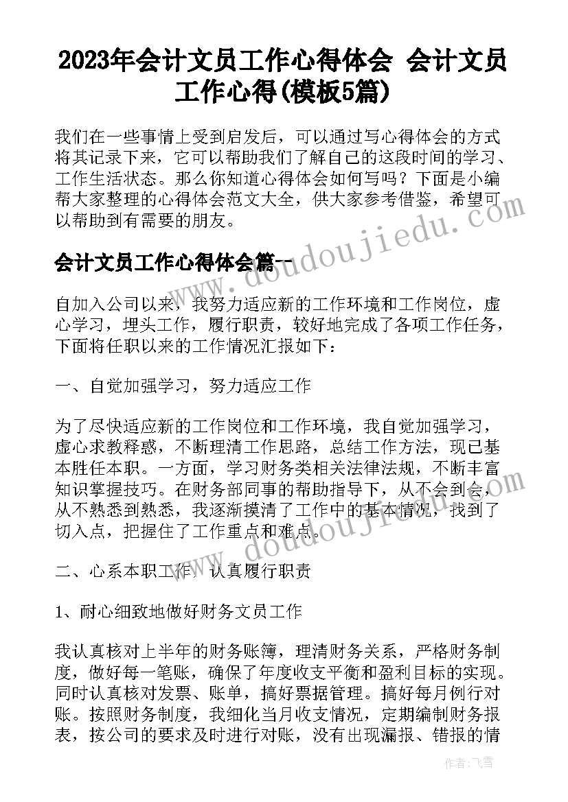 2023年会计文员工作心得体会 会计文员工作心得(模板5篇)