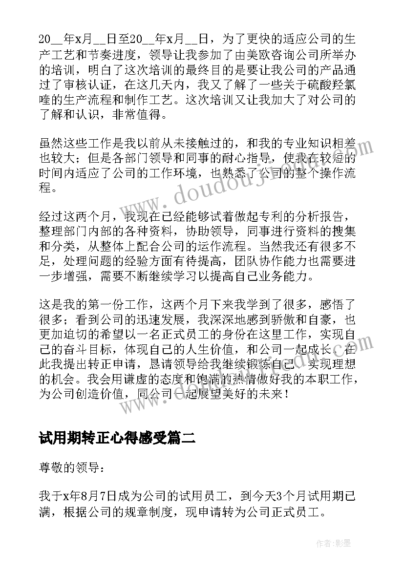 试用期转正心得感受 新员工试用期转正总结(汇总6篇)