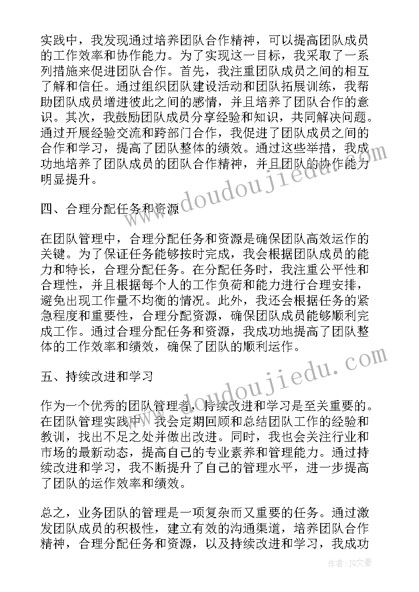 2023年业务团队工作总结(模板5篇)