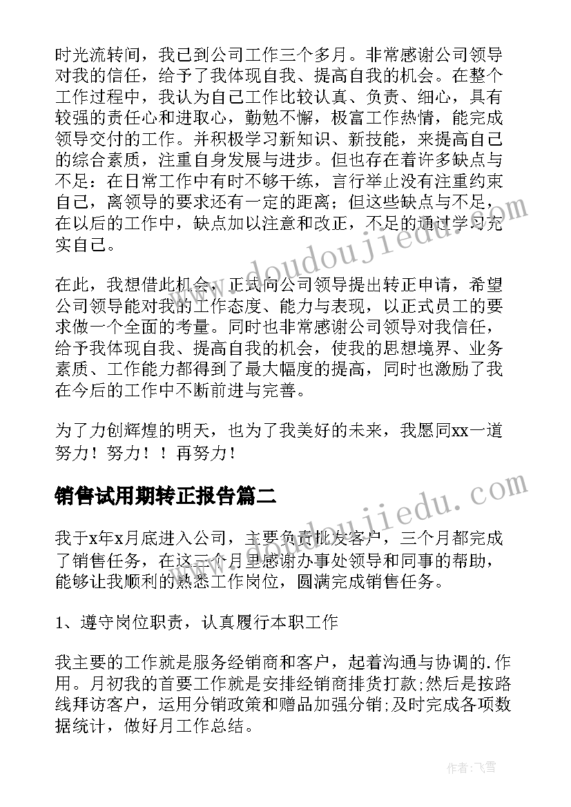 2023年销售试用期转正报告(精选6篇)