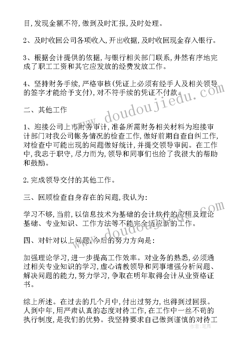 出纳个人工作总结及工作计划 出纳年终个人工作总结及工作计划(优质5篇)