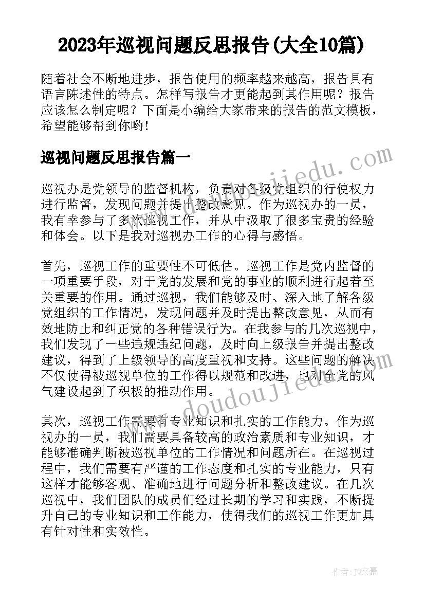 2023年巡视问题反思报告(大全10篇)