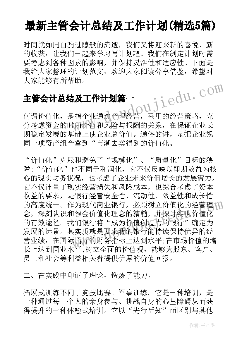 最新主管会计总结及工作计划(精选5篇)