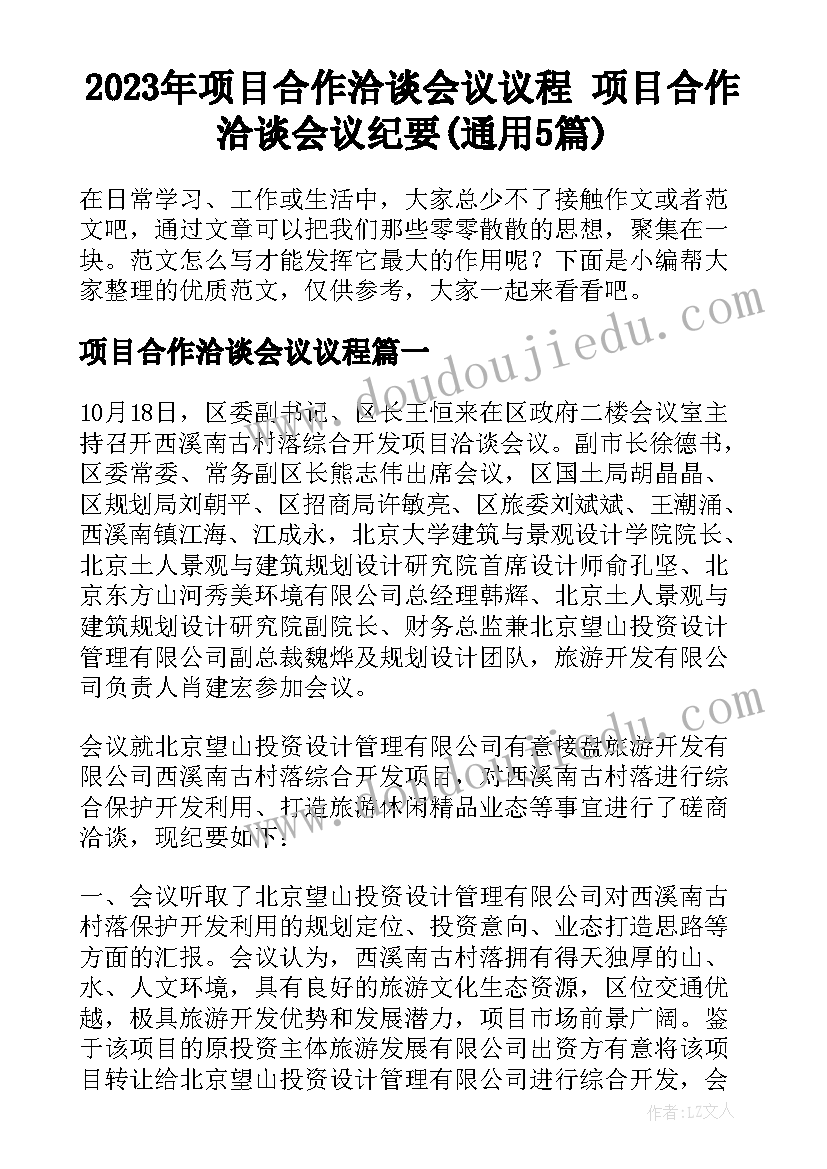 2023年项目合作洽谈会议议程 项目合作洽谈会议纪要(通用5篇)