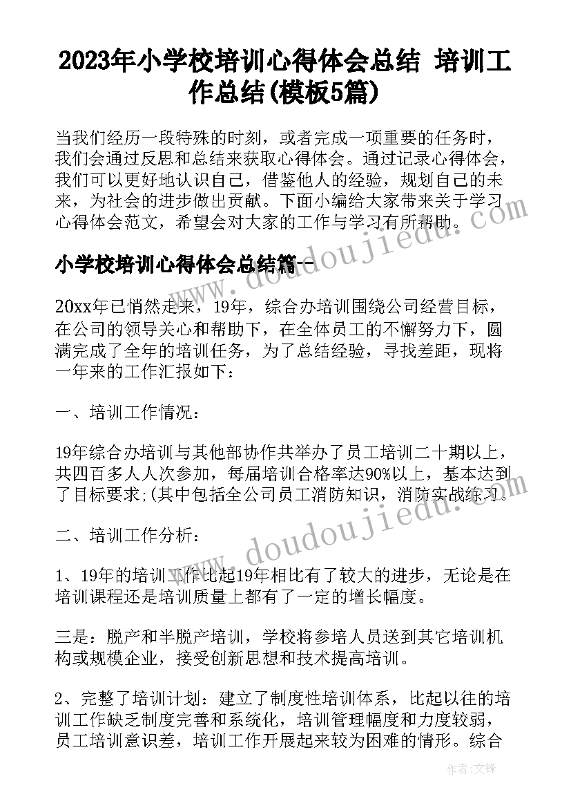 2023年小学校培训心得体会总结 培训工作总结(模板5篇)