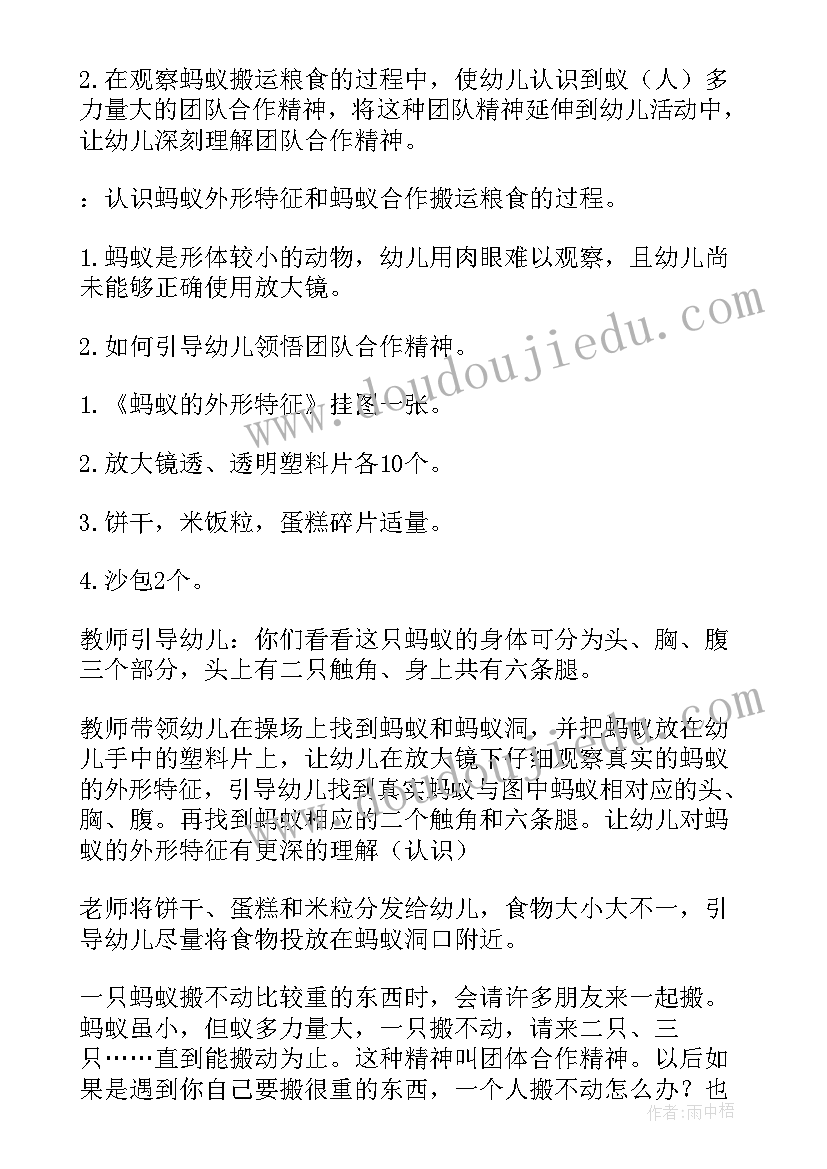 最新小班小蚂蚁运粮食教案及反思(模板5篇)