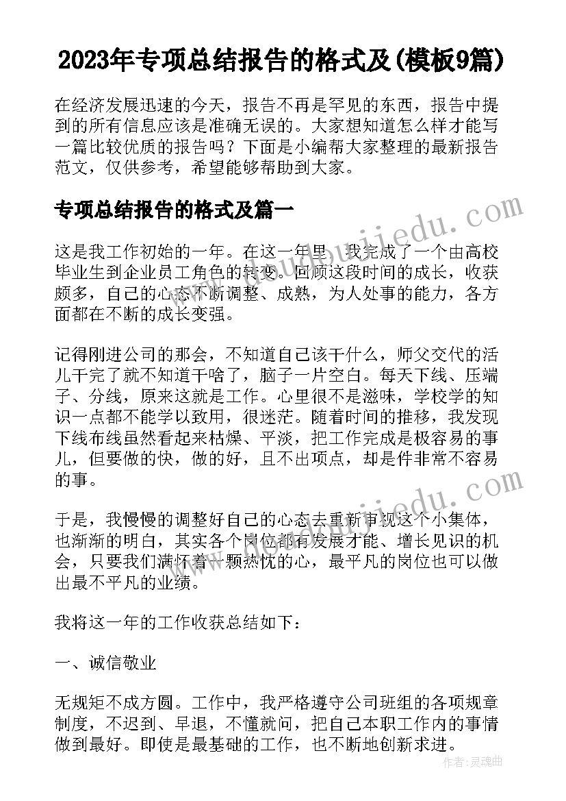 2023年专项总结报告的格式及(模板9篇)