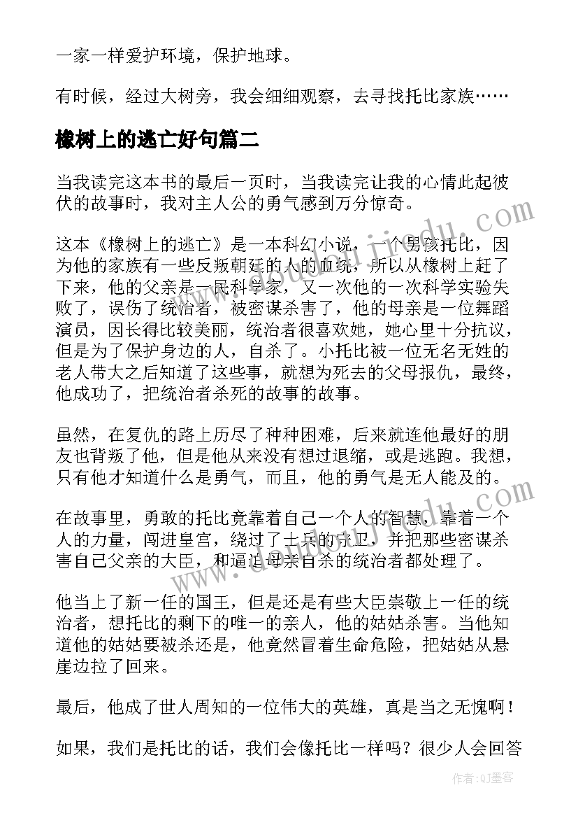 2023年橡树上的逃亡好句 橡树上的逃亡读后感(模板10篇)