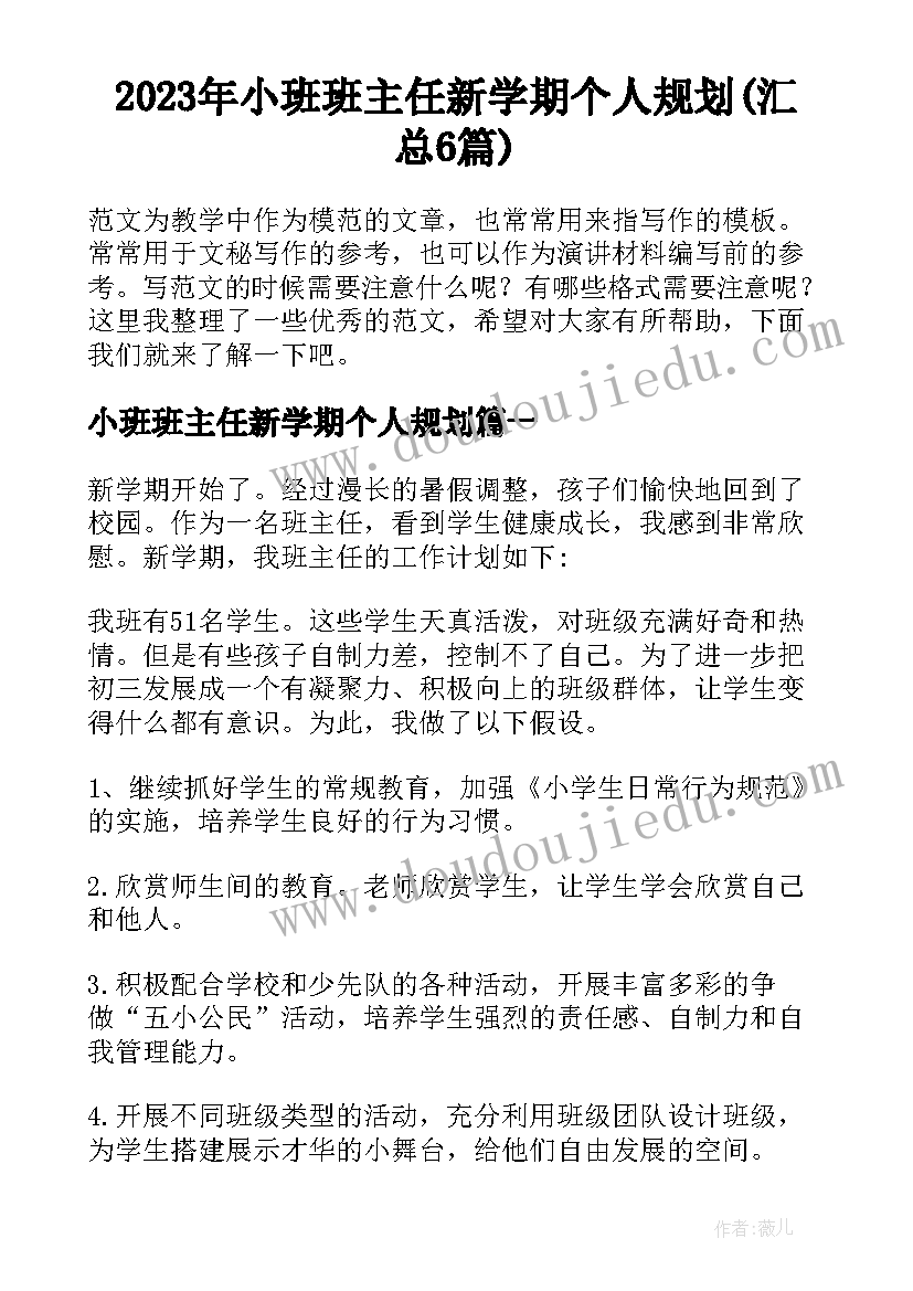 2023年小班班主任新学期个人规划(汇总6篇)