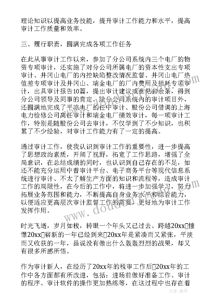 2023年公司审计年度工作总结报告(优秀5篇)