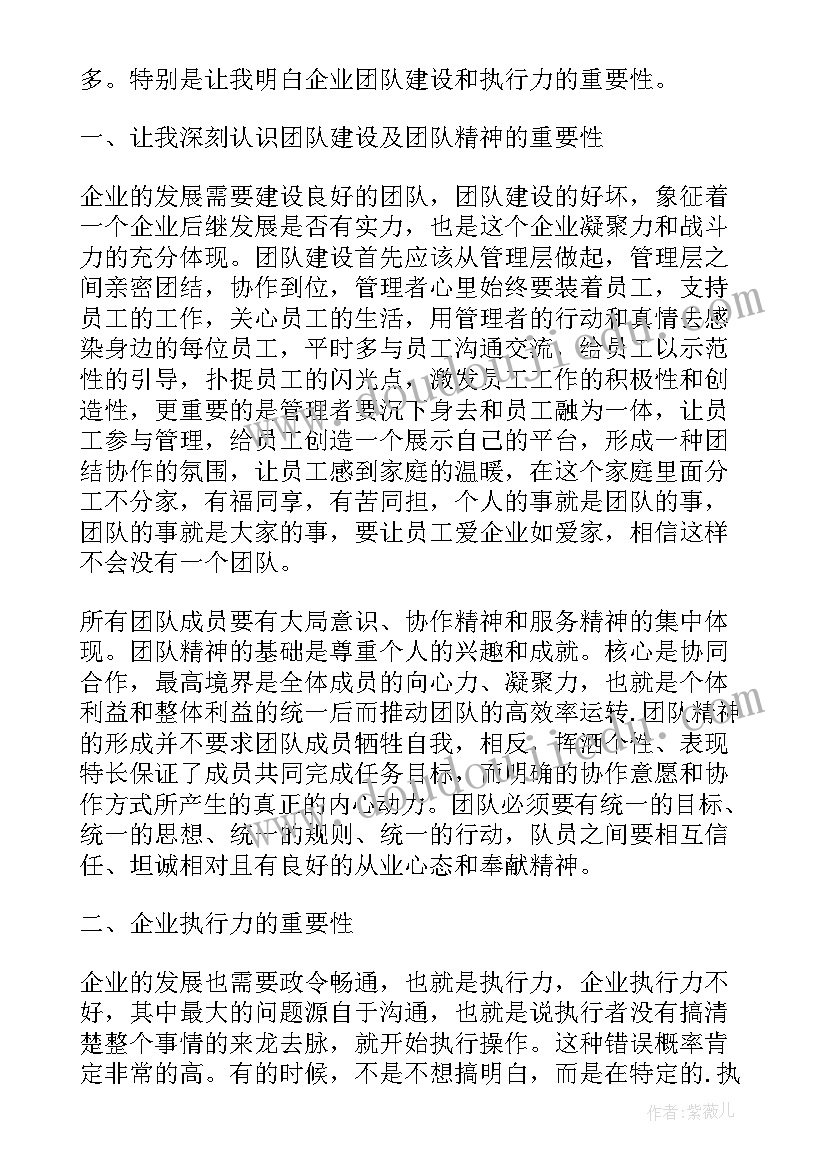 最新执行力心得体会(实用5篇)