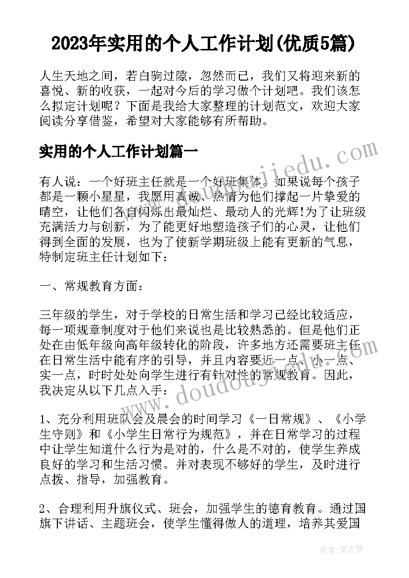 2023年实用的个人工作计划(优质5篇)