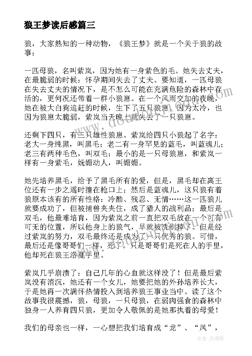 2023年狼王梦读后感(精选5篇)