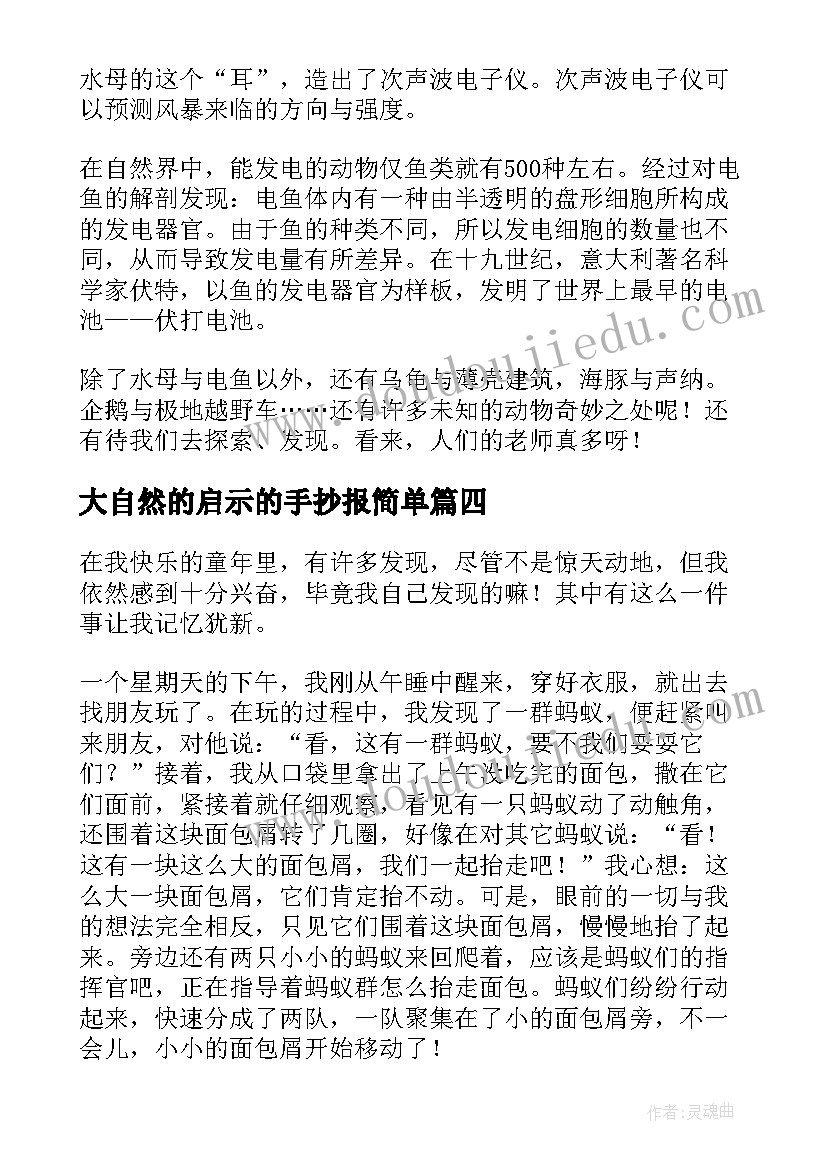 最新大自然的启示的手抄报简单(实用8篇)