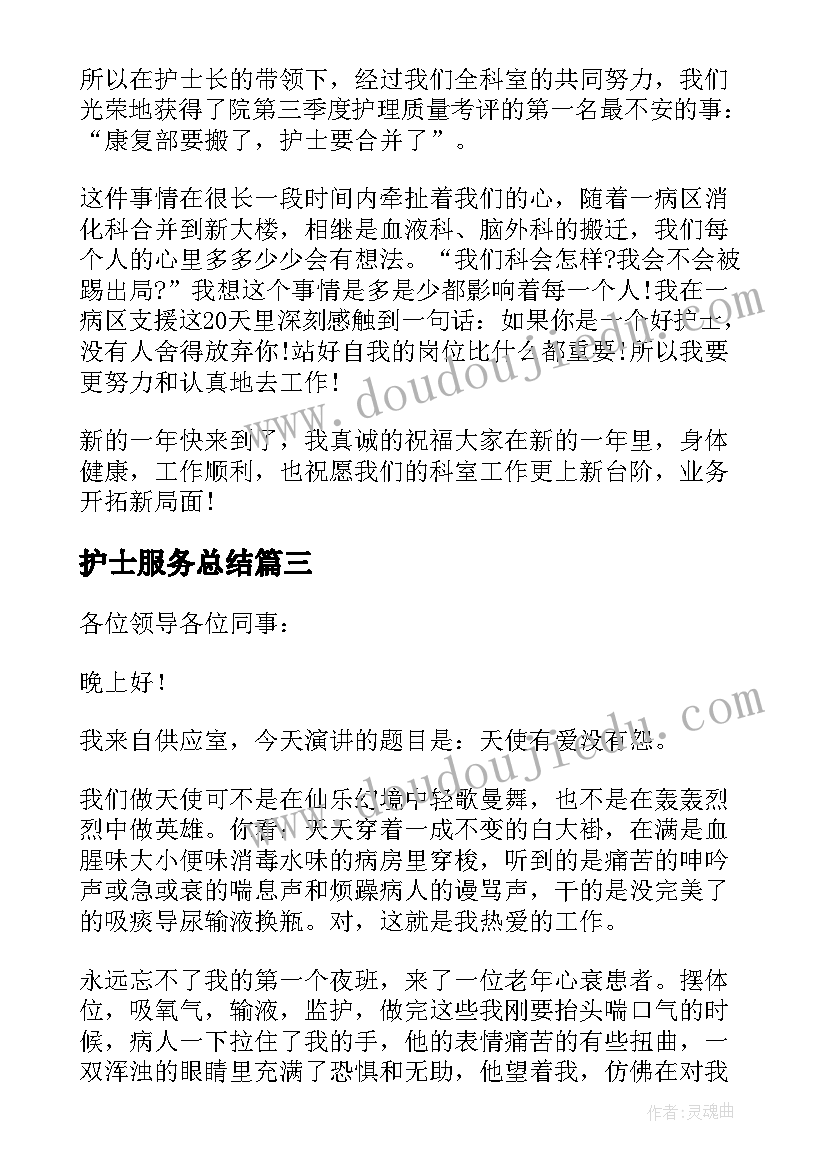 2023年护士服务总结(模板5篇)