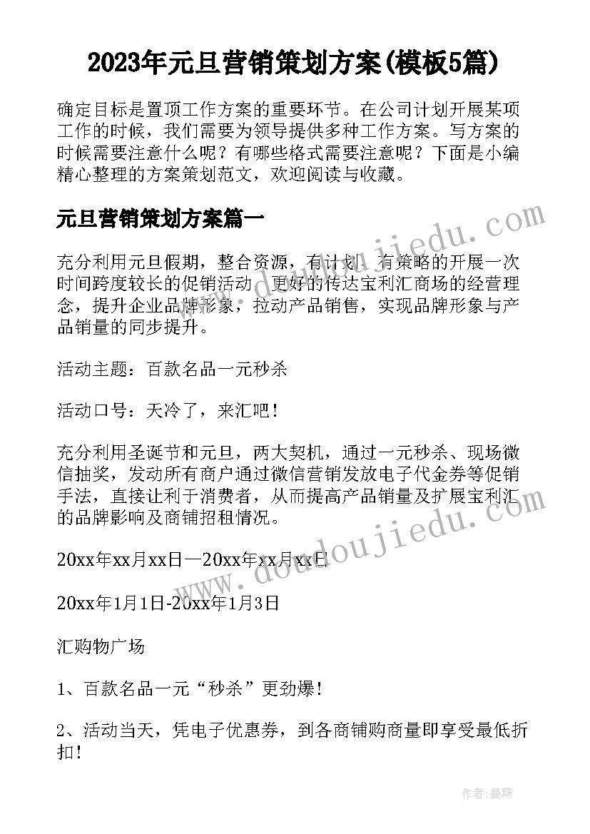 2023年元旦营销策划方案(模板5篇)