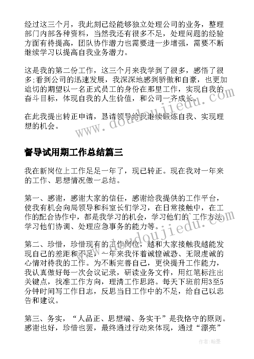 督导试用期工作总结(优秀10篇)