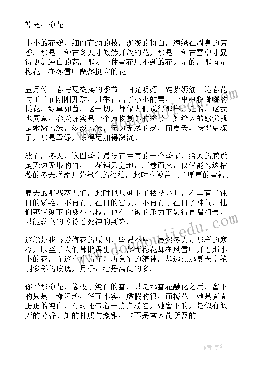 梅花魂的讲解 心得体会梅花魂(汇总10篇)