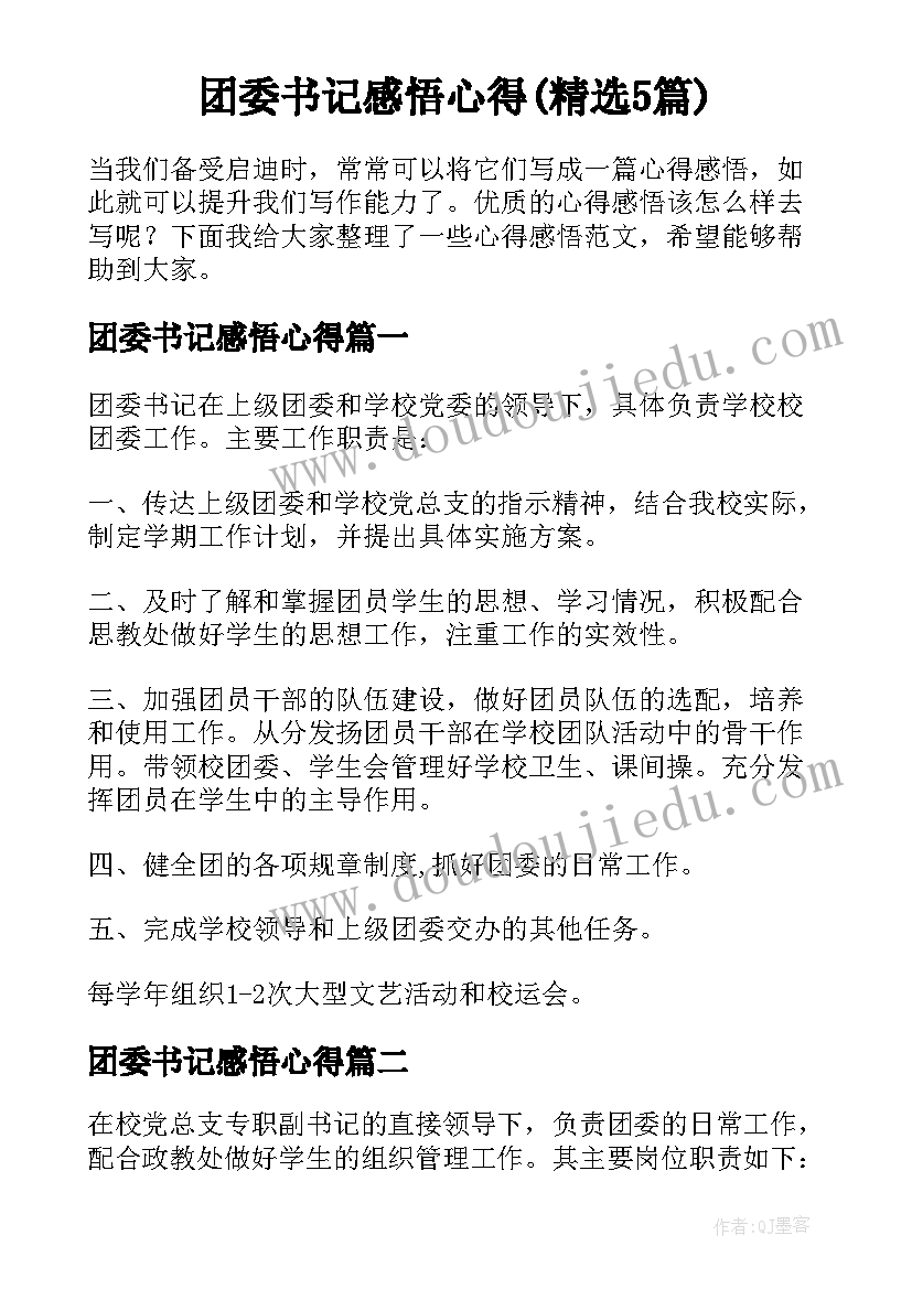 团委书记感悟心得(精选5篇)