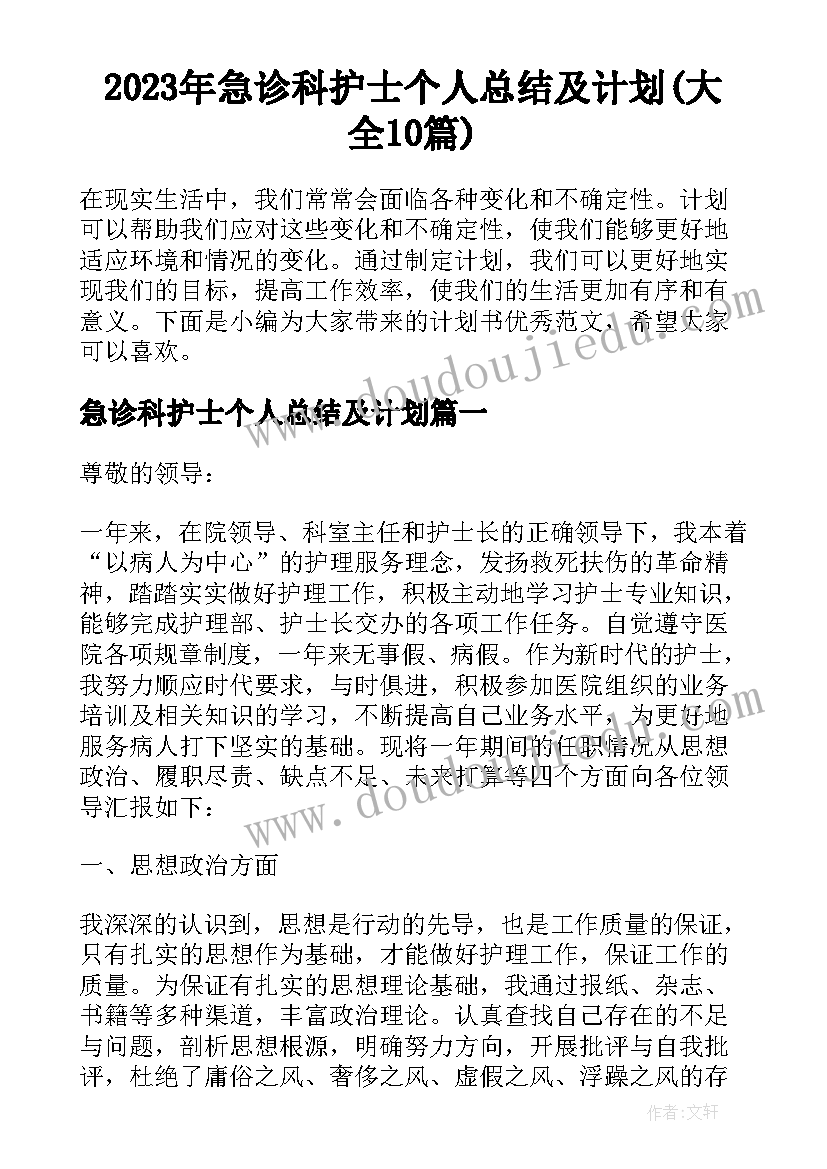 2023年急诊科护士个人总结及计划(大全10篇)