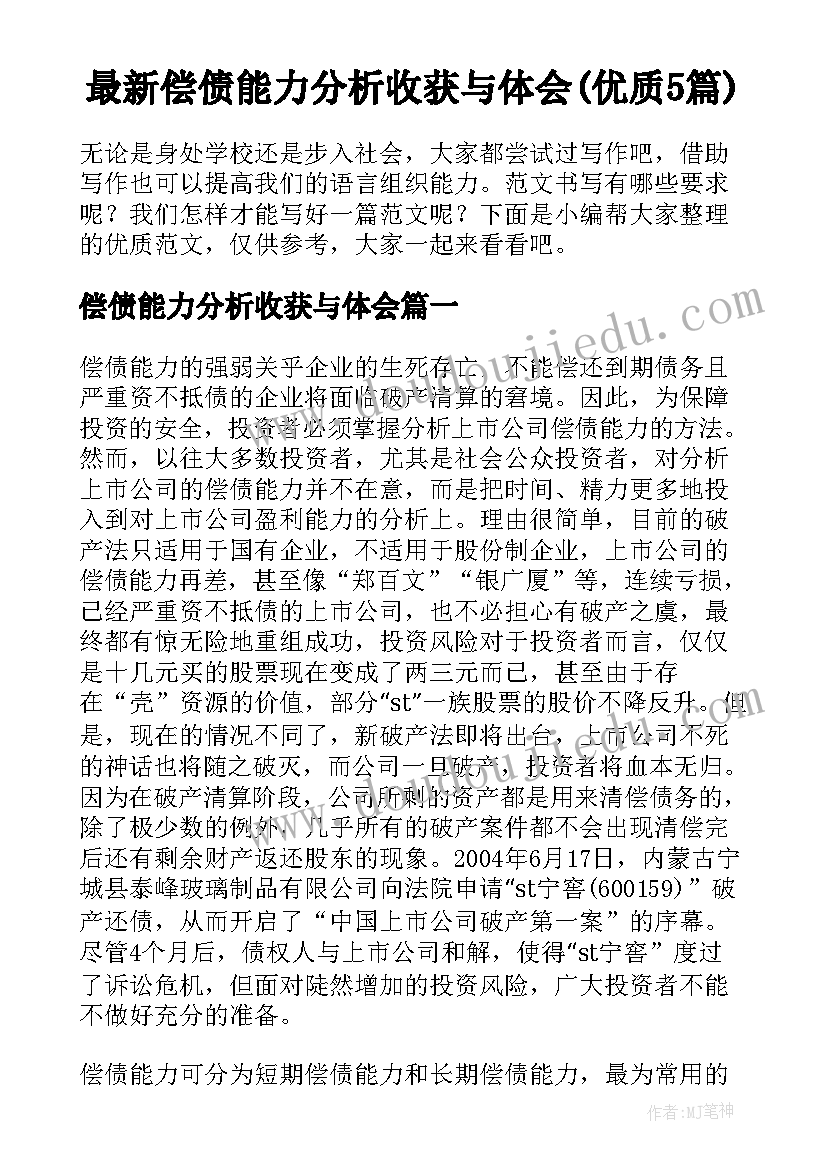 最新偿债能力分析收获与体会(优质5篇)