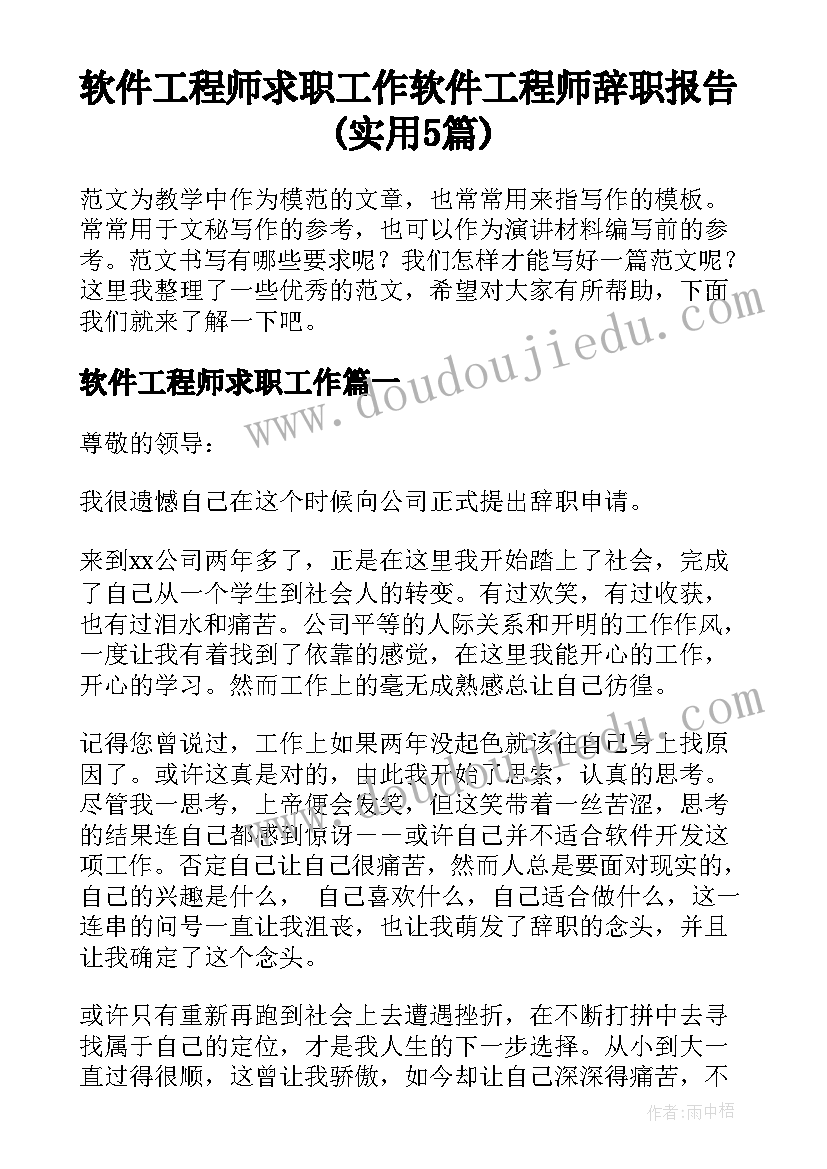 软件工程师求职工作 软件工程师辞职报告(实用5篇)