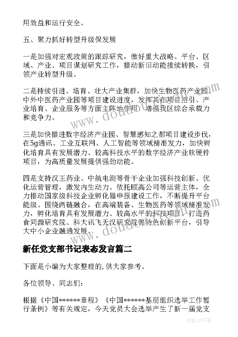 2023年新任党支部书记表态发言(大全5篇)