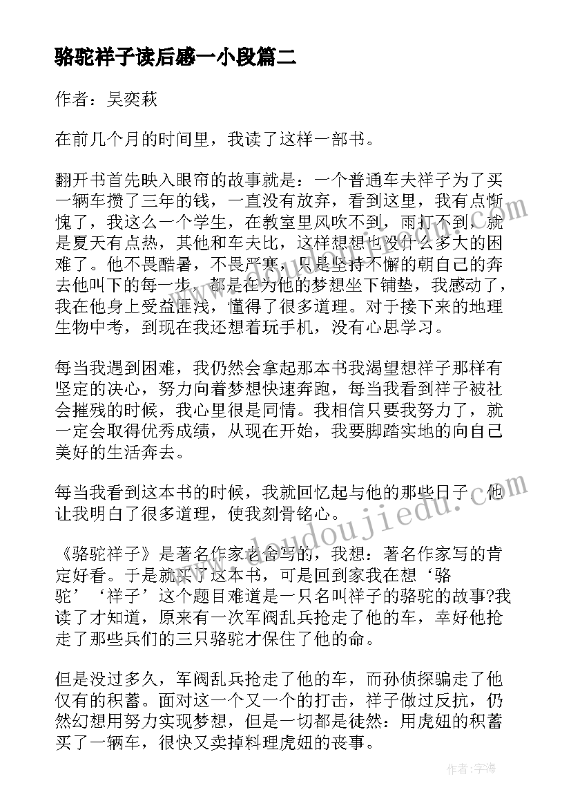 最新骆驼祥子读后感一小段(优质5篇)