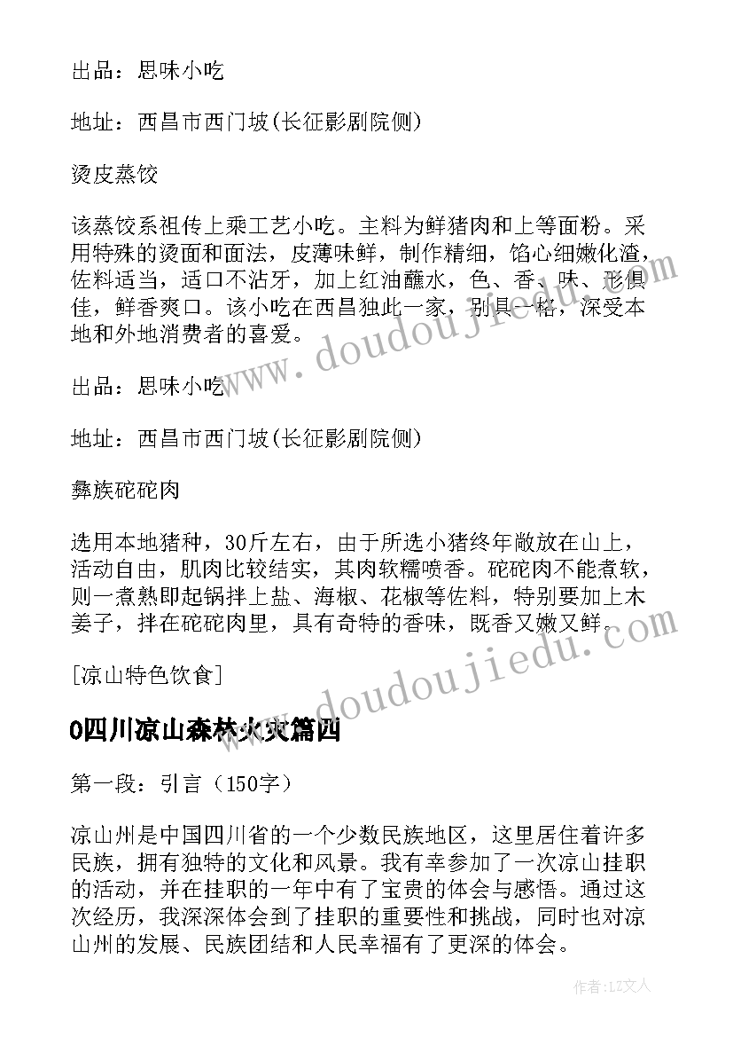 2023年0四川凉山森林火灾 凉山挂职心得体会(大全10篇)