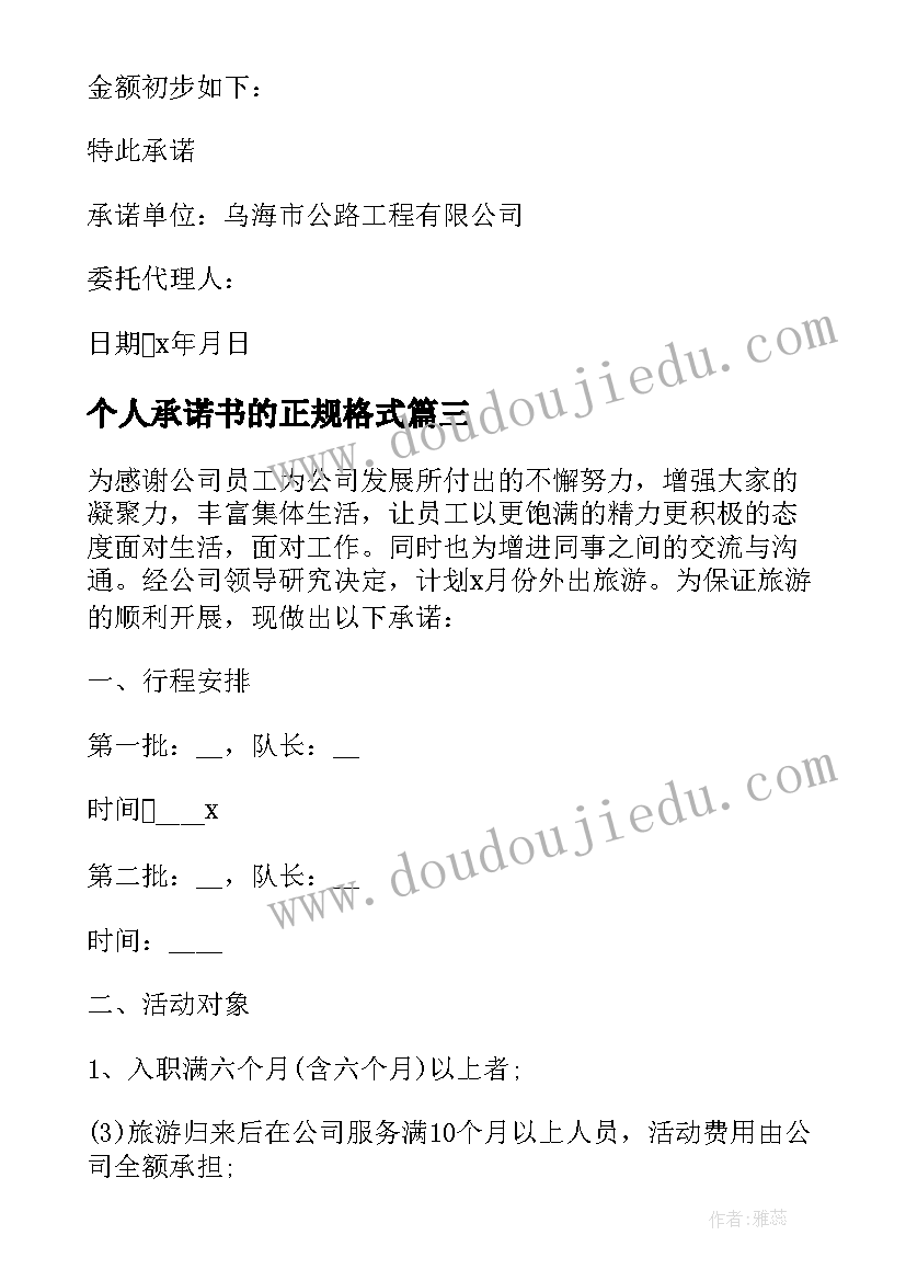 2023年个人承诺书的正规格式 承诺书的正规格式(模板5篇)