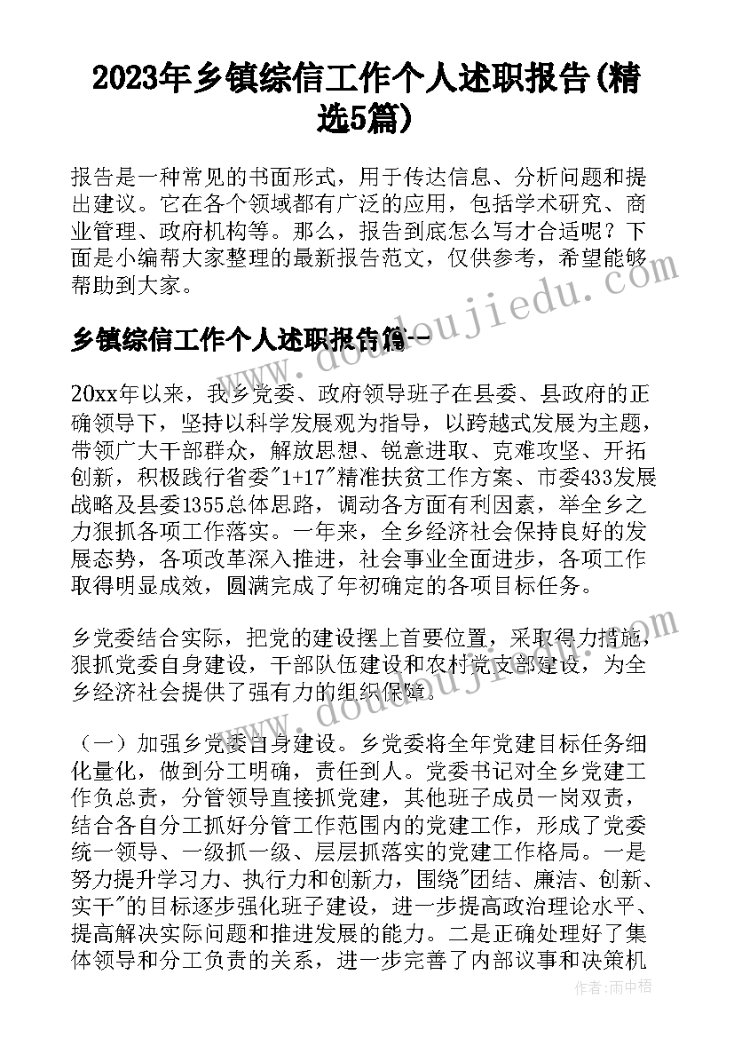 2023年乡镇综信工作个人述职报告(精选5篇)