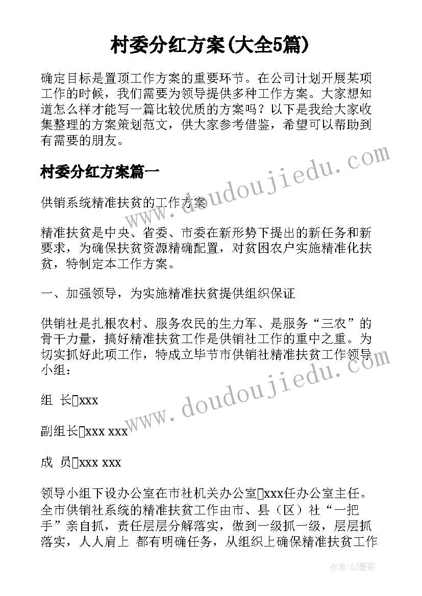 村委分红方案(大全5篇)