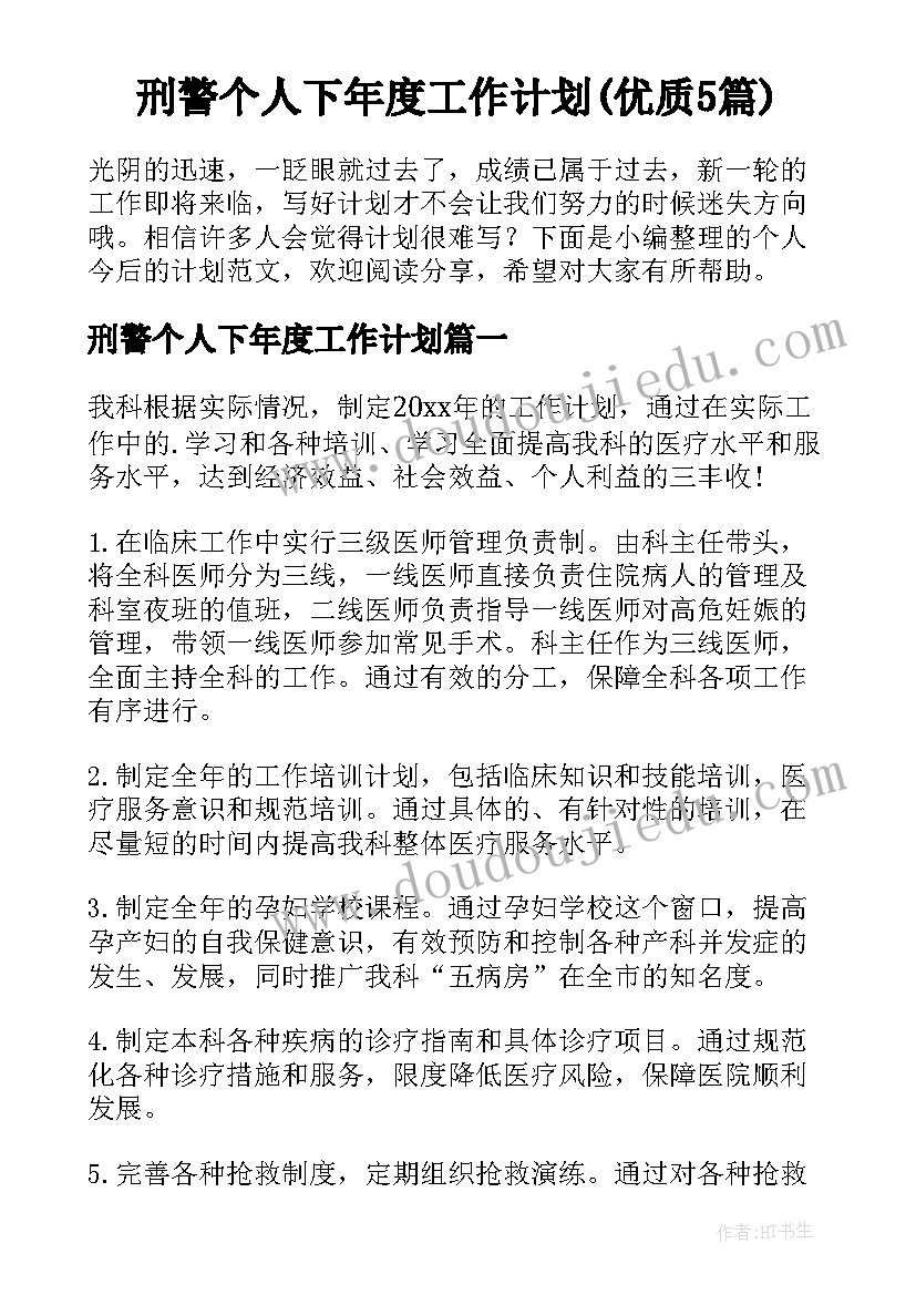 刑警个人下年度工作计划(优质5篇)