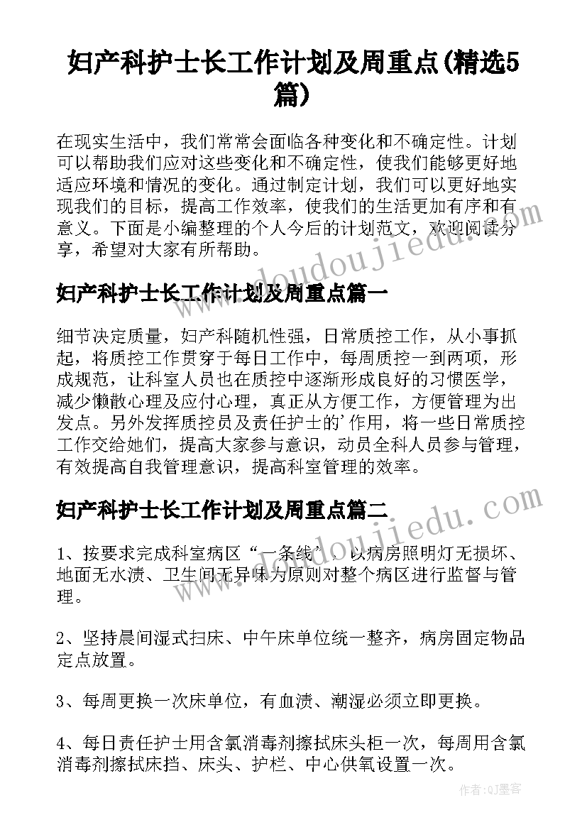 妇产科护士长工作计划及周重点(精选5篇)